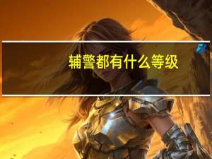 辅警都有什么等级
