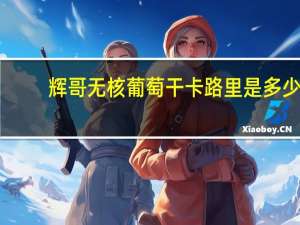 辉哥 无核葡萄干卡路里是多少