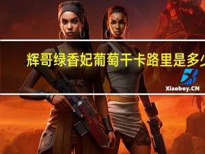 辉哥 绿香妃葡萄干卡路里是多少