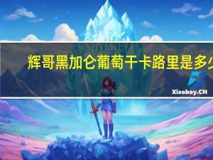 辉哥 黑加仑葡萄干卡路里是多少