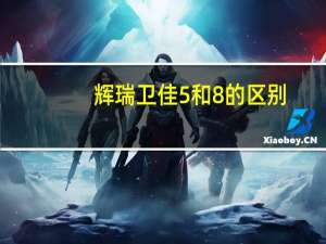 辉瑞卫佳5和8的区别