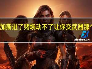 辐射新维加斯进了赌场动不了让你交武器那个人不找你对话（缅甸维加斯赌场）