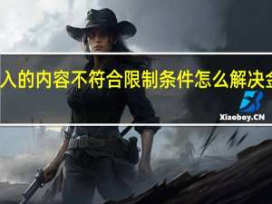 输入的内容不符合限制条件怎么解决金山文档（您输入的内容不符合限制条件怎么解决）