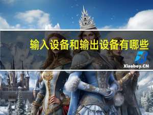 输入设备和输出设备有哪些