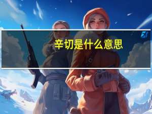 辛切是什么意思