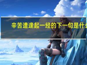 辛苦遭逢起一经的下一句是什么