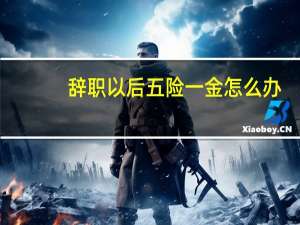 辞职以后五险一金怎么办