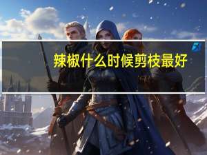 辣椒什么时候剪枝最好