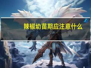 辣椒幼苗期应注意什么