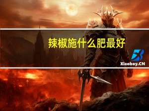 辣椒施什么肥最好