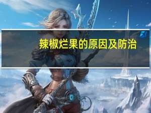 辣椒烂果的原因及防治