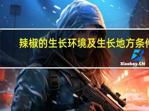 辣椒的生长环境及生长地方条件