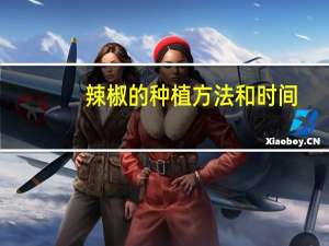 辣椒的种植方法和时间