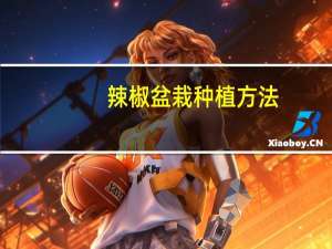 辣椒盆栽种植方法