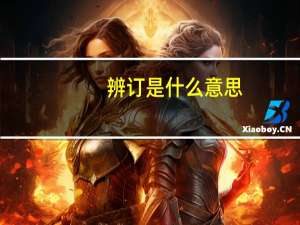 辨订是什么意思