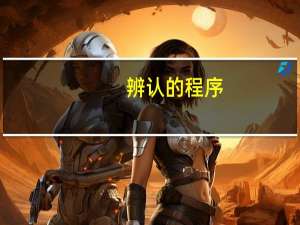 辨认的程序