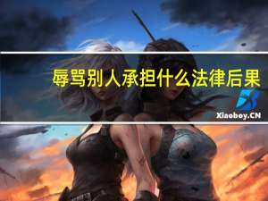 辱骂别人承担什么法律后果（辱骂）