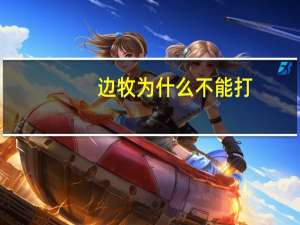 边牧为什么不能打