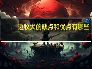 边牧犬的缺点和优点有哪些