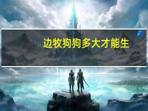 边牧狗狗多大才能生