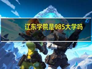 辽东学院是985大学吗