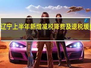 辽宁上半年新增减税降费及退税缓费196.6亿元