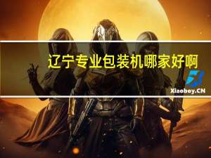辽宁专业包装机哪家好啊