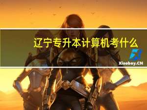 辽宁专升本计算机考什么