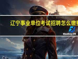 辽宁事业单位考试招聘怎么缴费