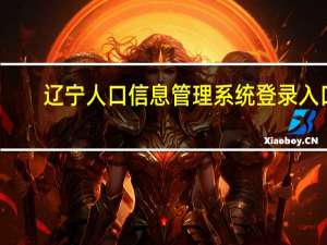 辽宁人口信息管理系统登录入口（辽宁人口信息管理系统）