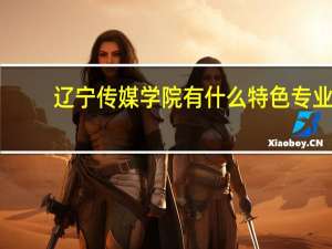 辽宁传媒学院有什么特色专业