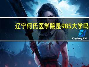 辽宁何氏医学院是985大学吗