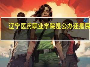 辽宁医药职业学院是公办还是民办