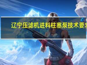 辽宁压滤机进料柱塞泵技术要求