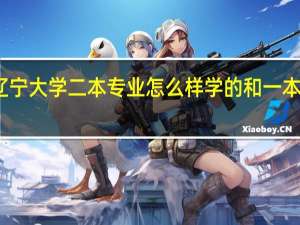 辽宁大学二本专业怎么样 学的和一本一样嘛