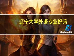 辽宁大学外语专业好吗