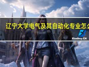 辽宁大学电气及其自动化专业怎么样