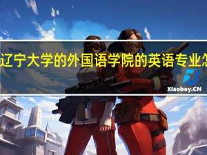 辽宁大学的外国语学院的英语专业怎么样