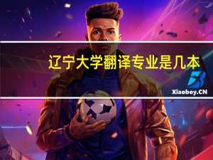 辽宁大学翻译专业是几本