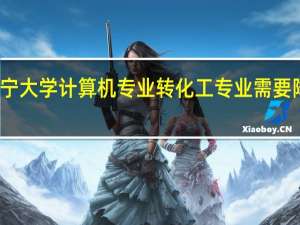 辽宁大学计算机专业转化工专业需要降一级吗