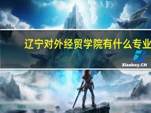 辽宁对外经贸学院有什么专业