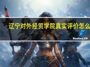 辽宁对外经贸学院真实评价怎么样