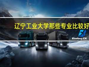 辽宁工业大学那些专业比较好