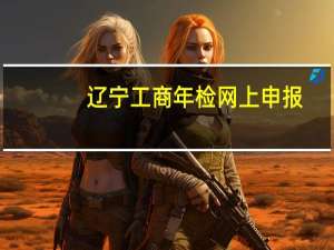 辽宁工商年检网上申报（工商年检网上公示系统辽宁）
