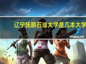 辽宁抚顺石油大学是几本大学