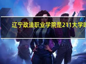 辽宁政法职业学院是211大学吗