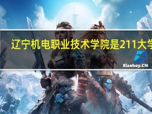 辽宁机电职业技术学院是211大学吗