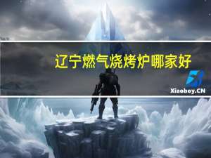 辽宁燃气烧烤炉哪家好