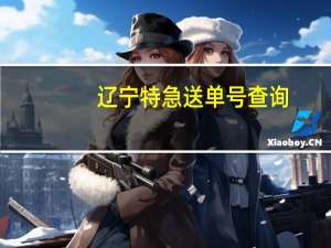 辽宁特急送单号查询（特急送单号查询）