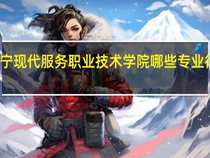 辽宁现代服务职业技术学院哪些专业很受欢迎